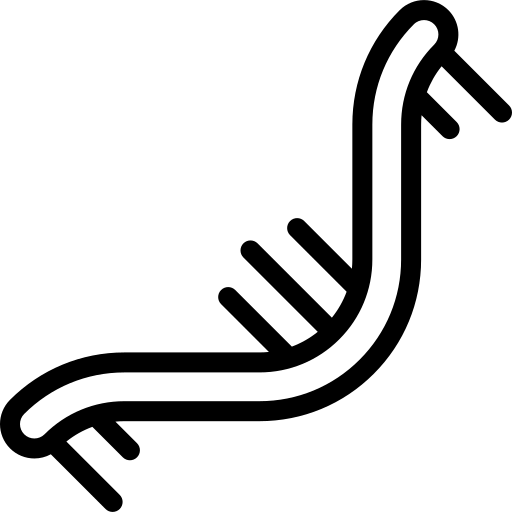miR-29